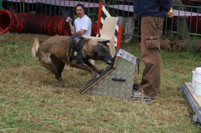foire-haricots 2011-09-17et18
